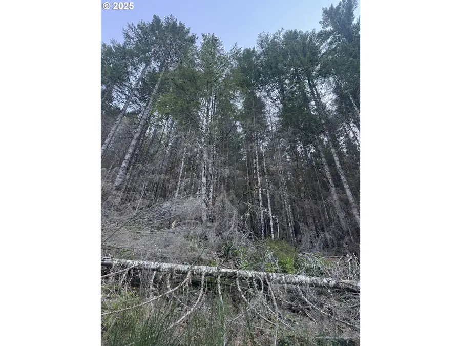 0 Nf-2212, Gates, OR 97346 - Image #3