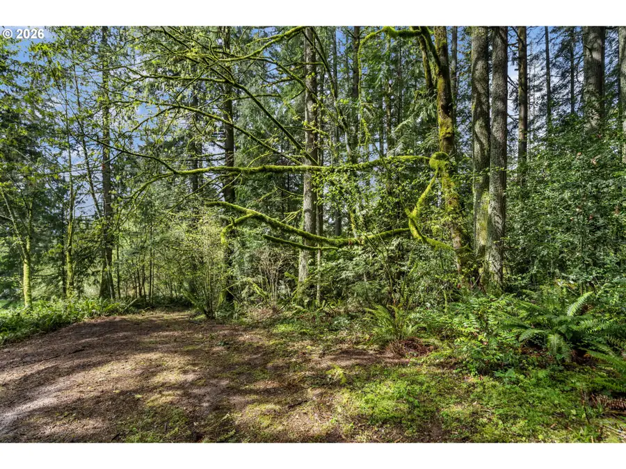 0 NE 72nd Ave, Lacenter, WA 98629 - #3