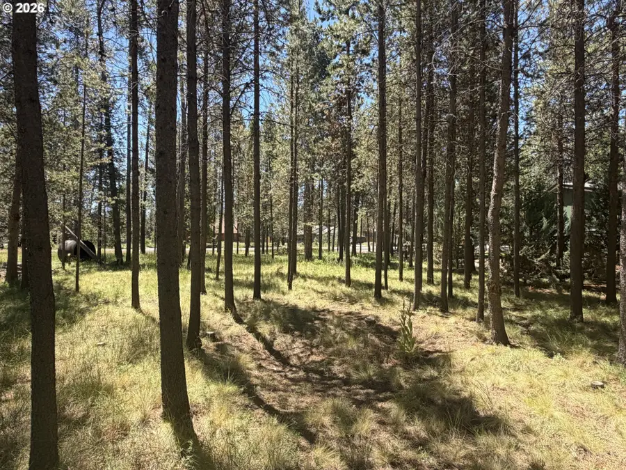 17386 Golden Eye Dr, Bend, OR 97707 - #3