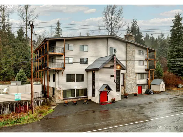 87557 E Government Camp Loop #204, GovernmentCamp, OR 97028