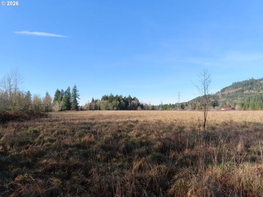 Larson Rd, Mossyrock, WA 98564 - Image #2