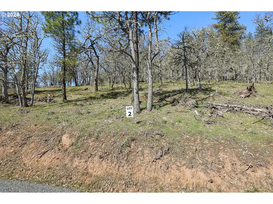 Secluded Way #2, Lyle, WA 98635 - #3