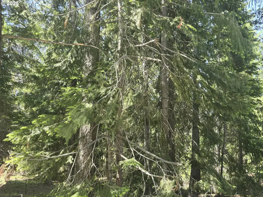 26 Diamond Peak Dr, Crescent Lake, OR 97733 - #3