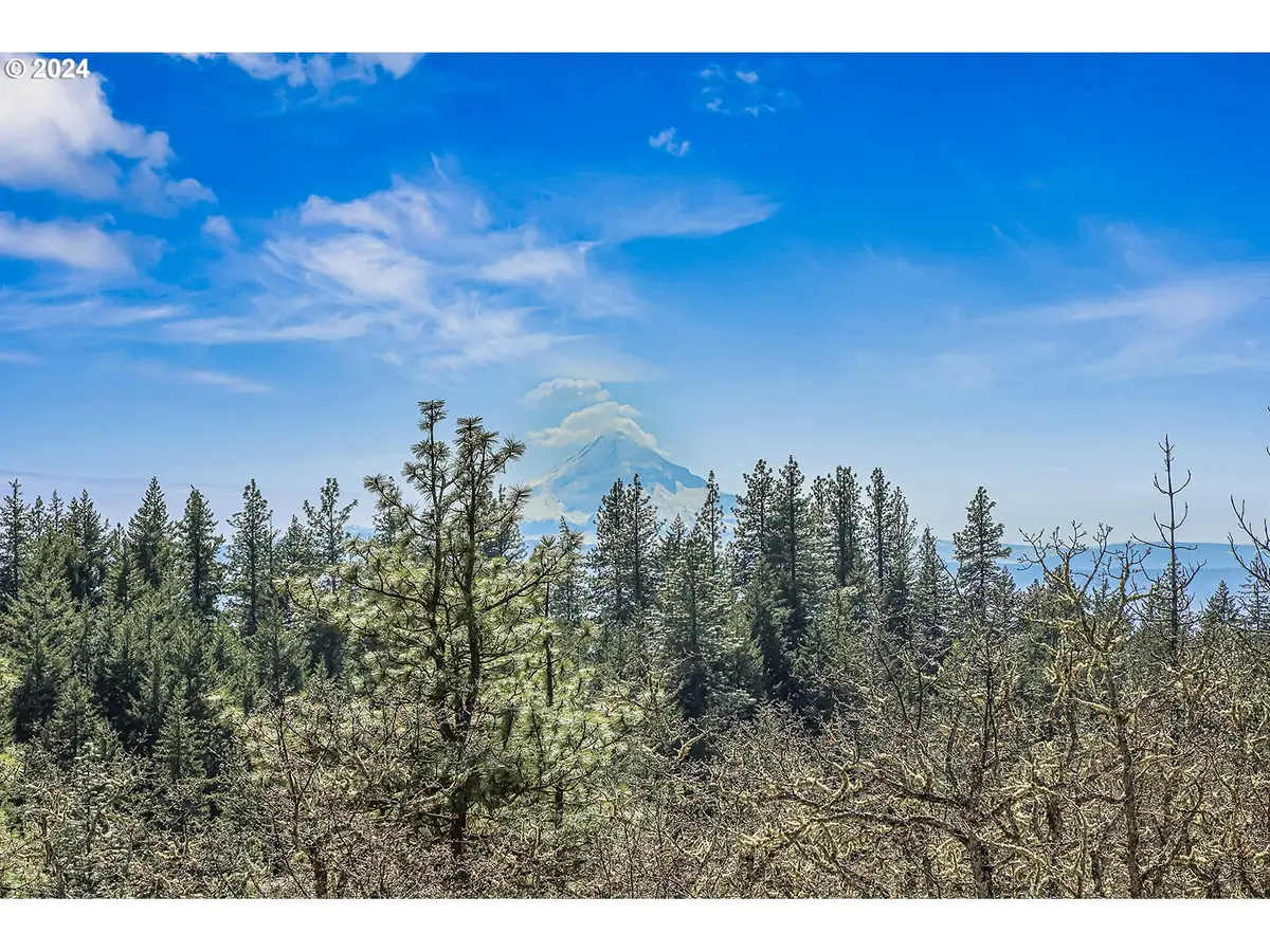 Secluded Way #3, Lyle, WA 98635 - #1