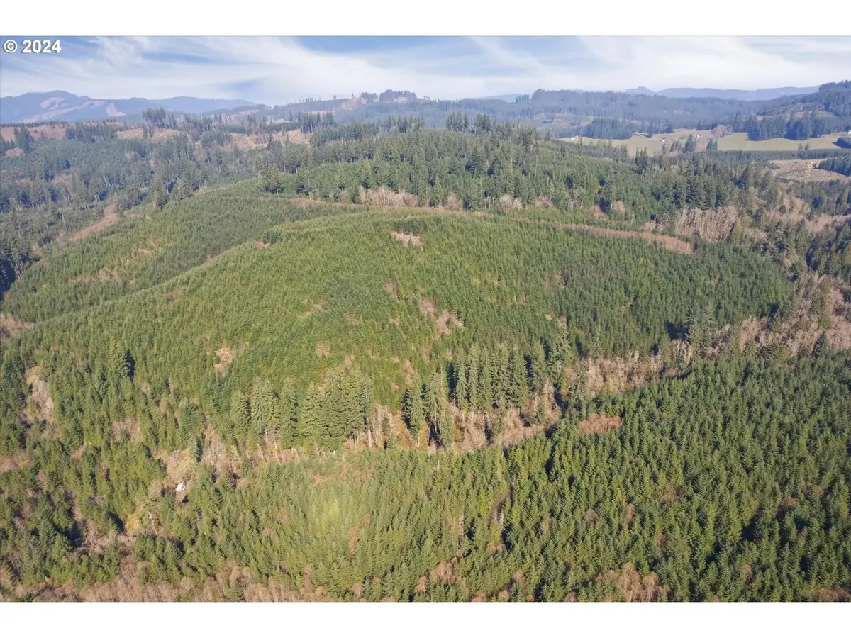 0 NE Cedar Mist Rd, Amboy, WA 98601 - Image #1