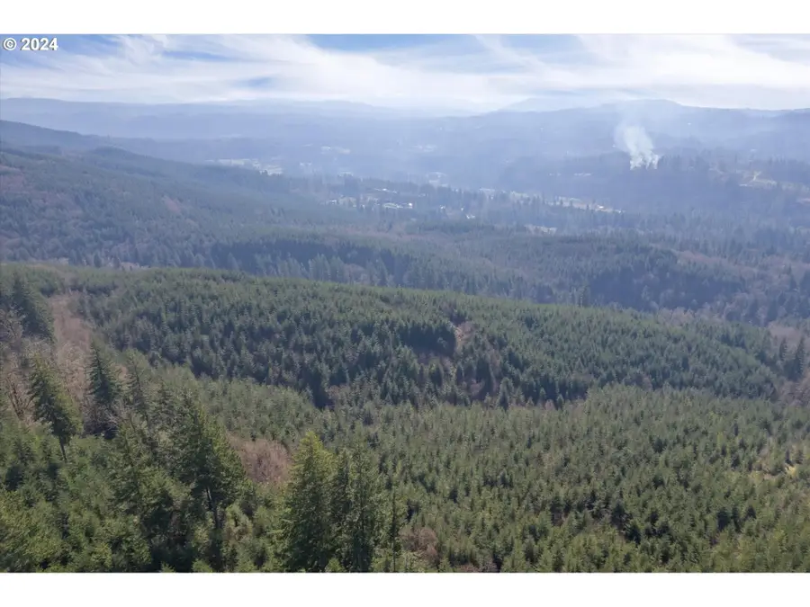 0 NE Cedar Mist Rd, Amboy, WA 98601 - Image #2