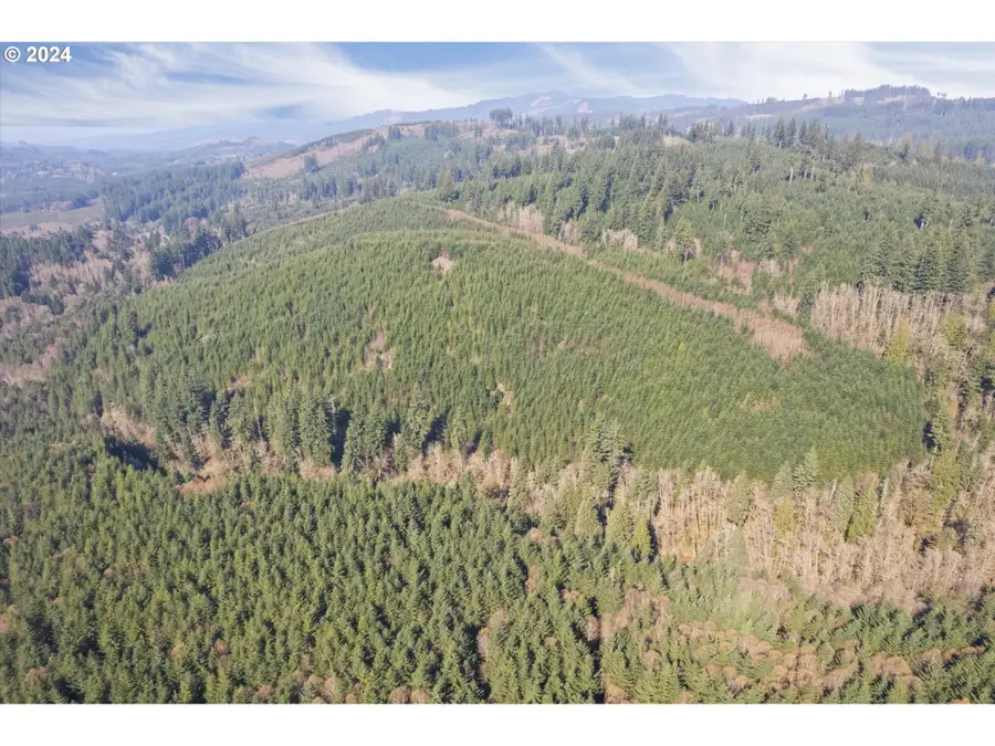 0 NE Cedar Mist Rd, Amboy, WA 98601 - Image #3