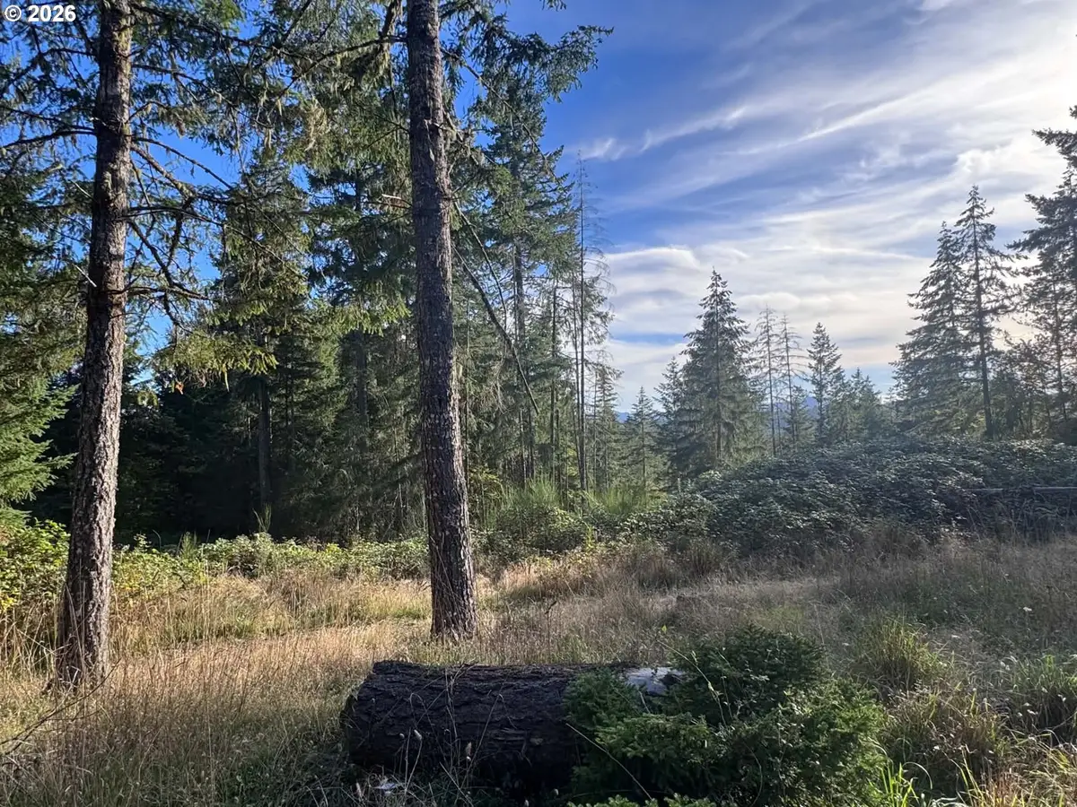 24572 Paradise Dr, Junction City, OR 97448 - #1