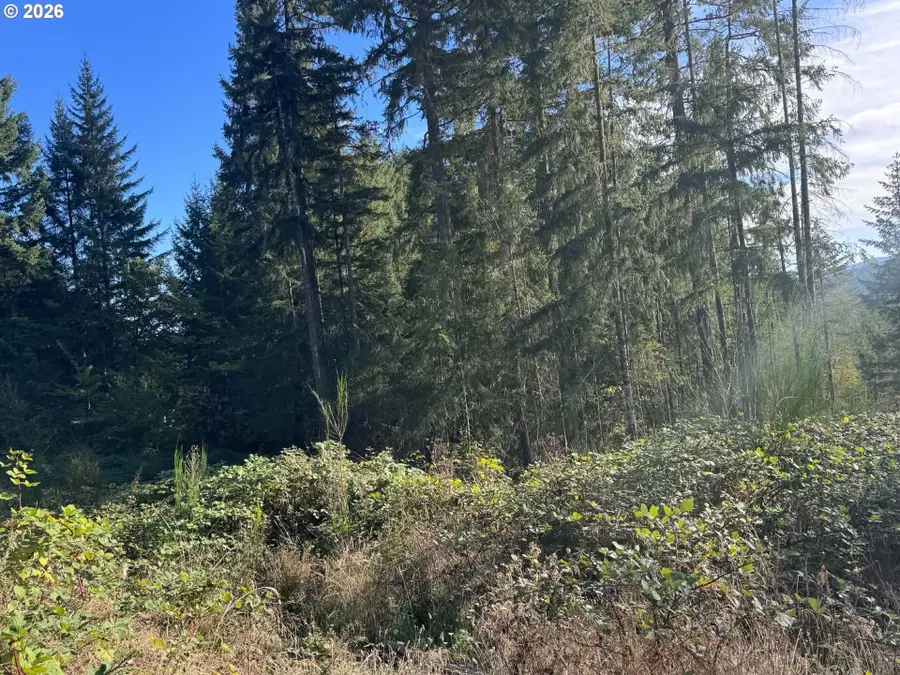 24572 Paradise Dr, Junction City, OR 97448 - #2