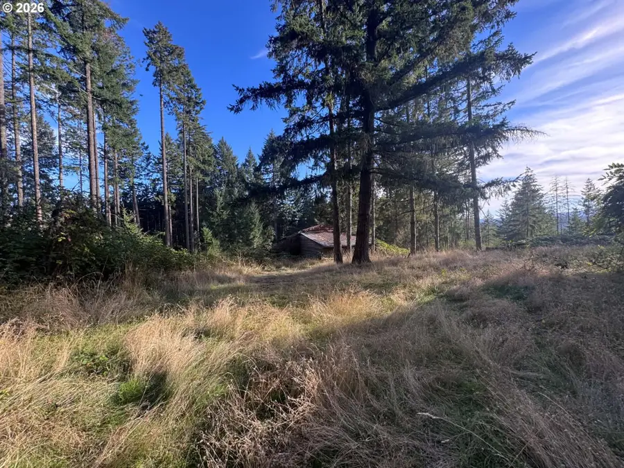 24572 Paradise Dr, Junction City, OR 97448 - #3