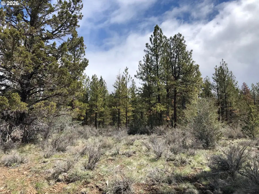 15 Glendale Ln, Beatty, OR 97621 - #3