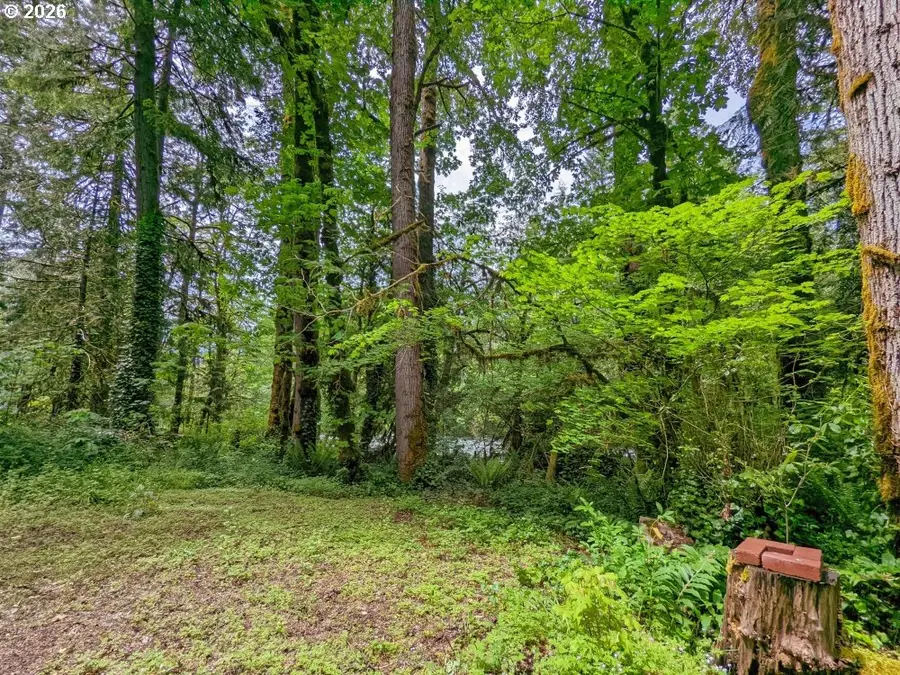 61875 E Jettview Ln, Brightwood, OR 97011 - #3