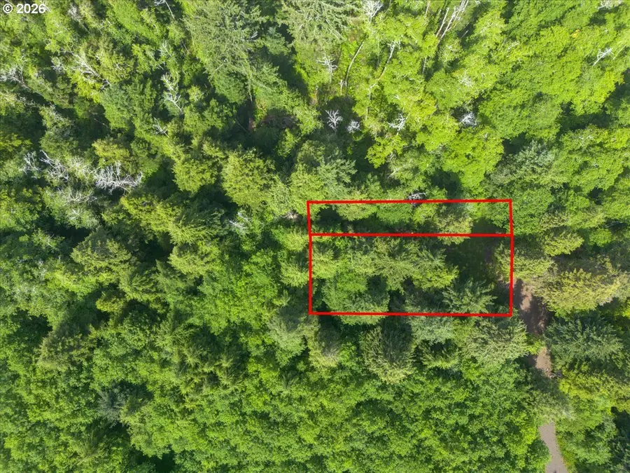 Marigold St, Rockaway Beach, OR 97136 - #2