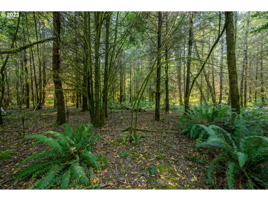 0 Sitkum #300, Myrtle Point, OR 97458 - #3