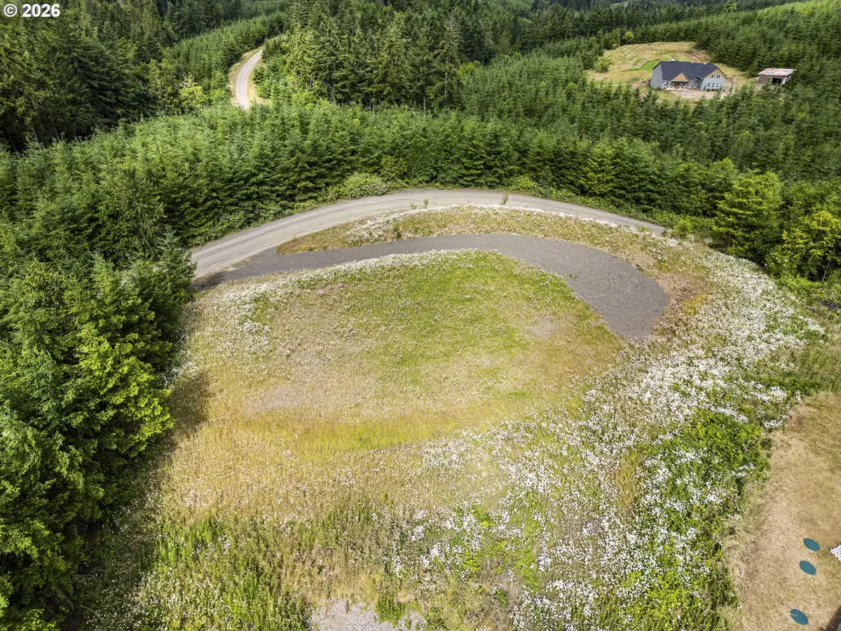 104 Bootjack Ln, Kelso, WA 98626 - #1