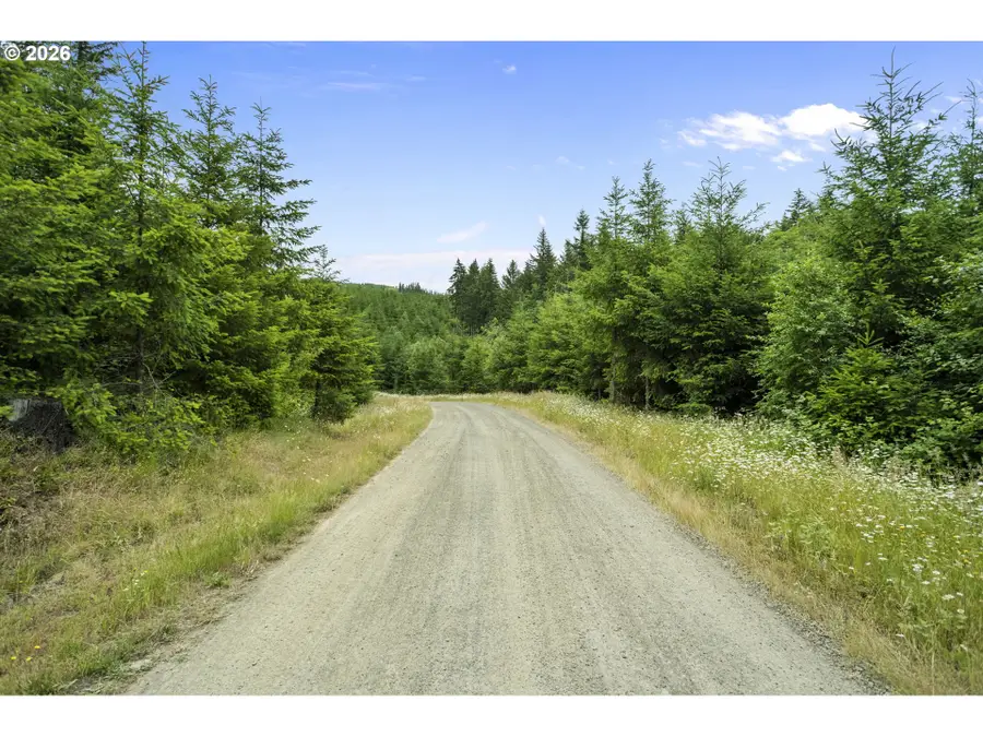 104 Bootjack Ln, Kelso, WA 98626 - #3