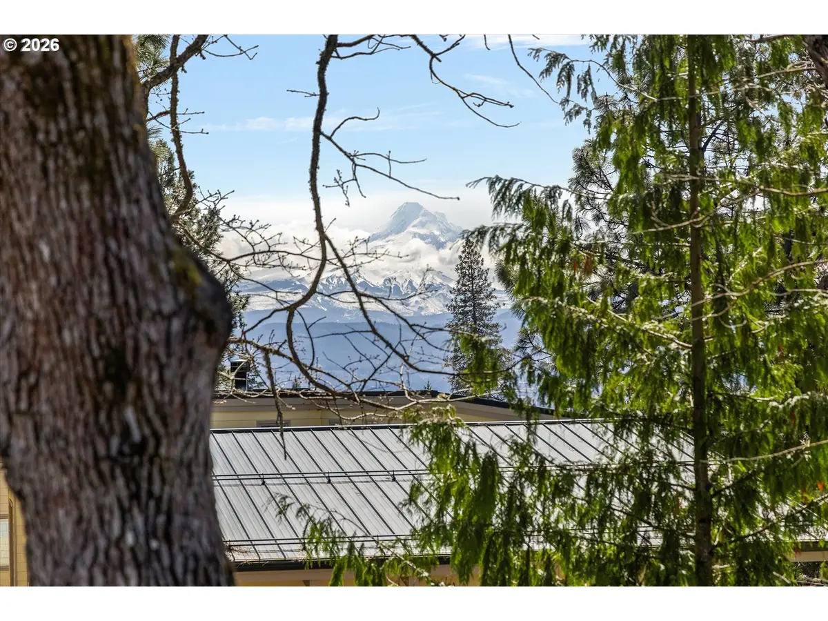 105 Alta Vista Rd, White Salmon, WA 98672 - #1