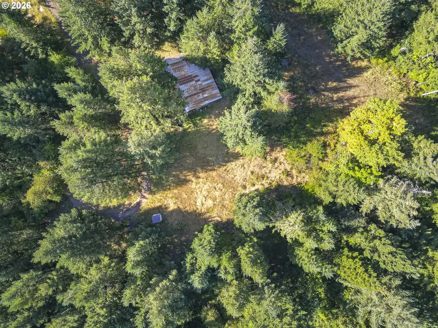 12480 NW Fir Crest Rd, Carlton, OR 97111 - #3