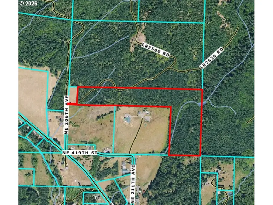 0 NE 206th Ave, Amboy, WA 98601 - #2