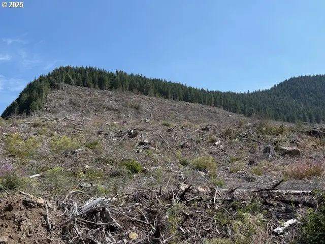 000 Thomas Creek Dr #(160), Scio, OR 97374 - Image #2