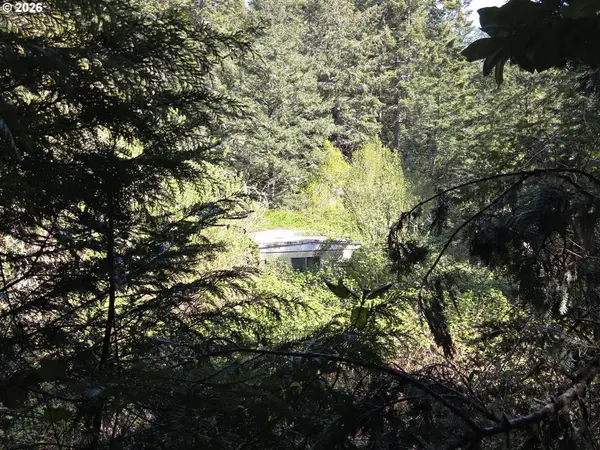 96113 Euchre Creek Rd, GoldBeach, OR 97444