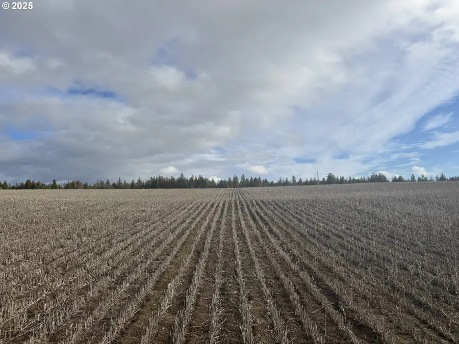 Nka Two Mountainview Rd #2, Centerville, WA 98613 - Image #2