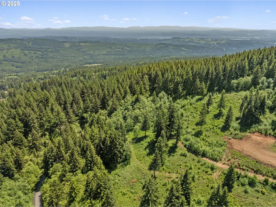 0 NE 298th Ct, Camas, WA 98607 - Image #2