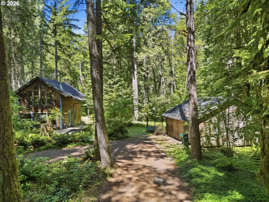 55406 Delta Rd, McKenzie River, OR 97413 - #2