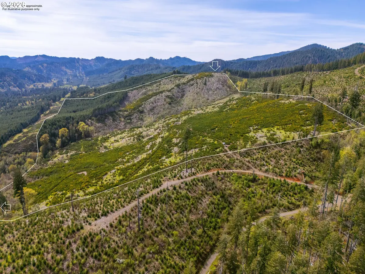 126 Hwy #TL201, Walton, OR 97490 - #1