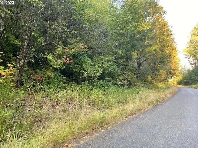 Mcgowan Creek, Springfield, OR 97478 - #1