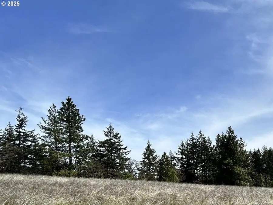 000 Knoll Ridge Road, Lyle, WA 98635 - #3