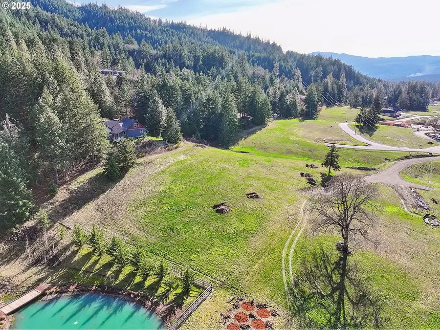 2 Graham Ln, Whitesalmon, WA 98672 - #3