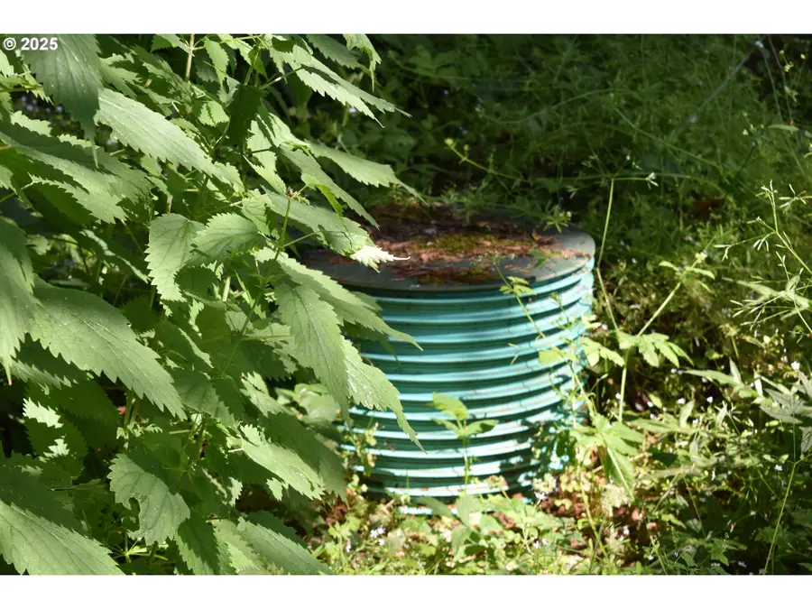 Scravel Hill Rd, Albany, OR 97322 - Image #3