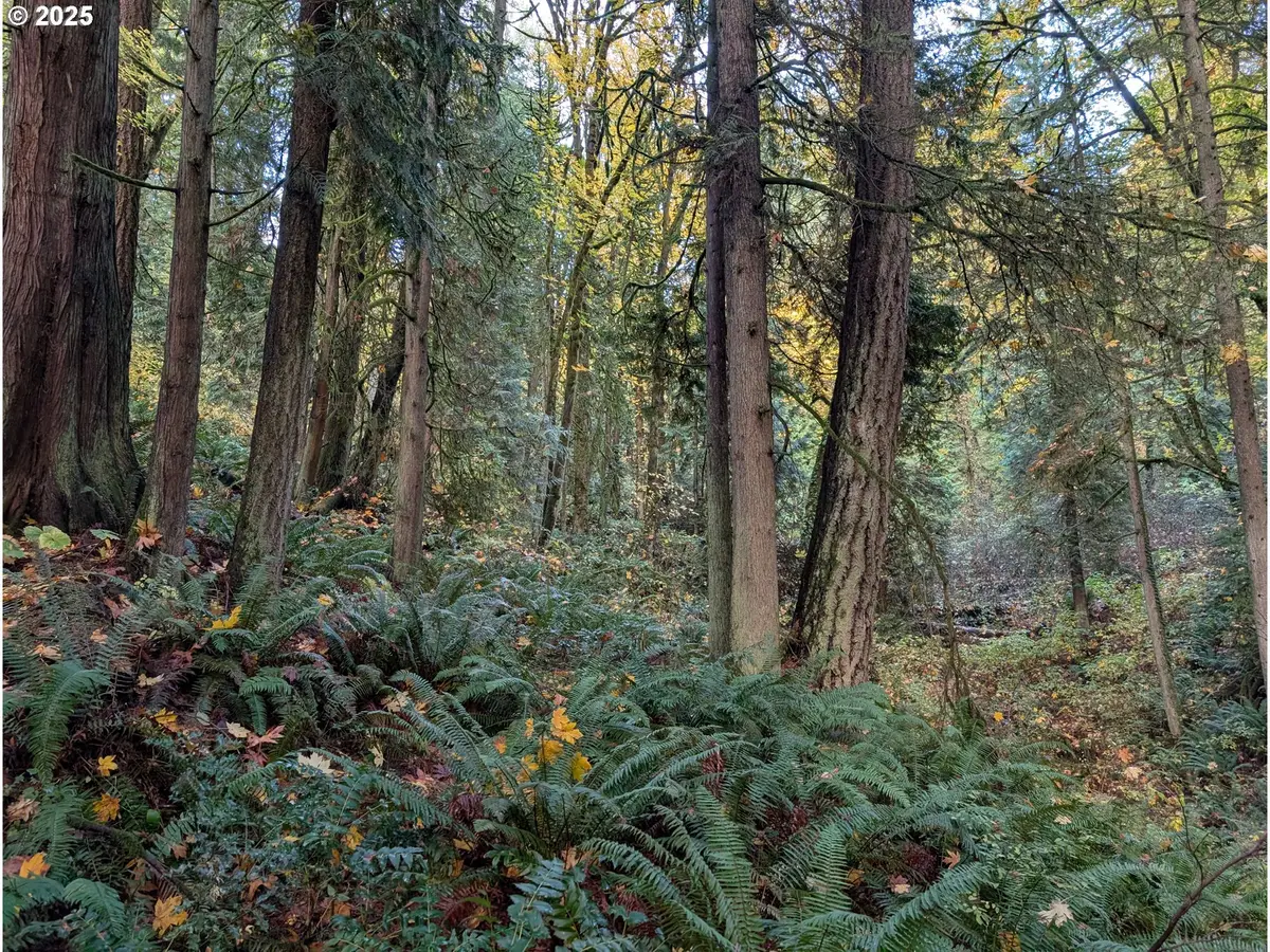 NW Thompson Rd, Portland, OR 97210 - #1