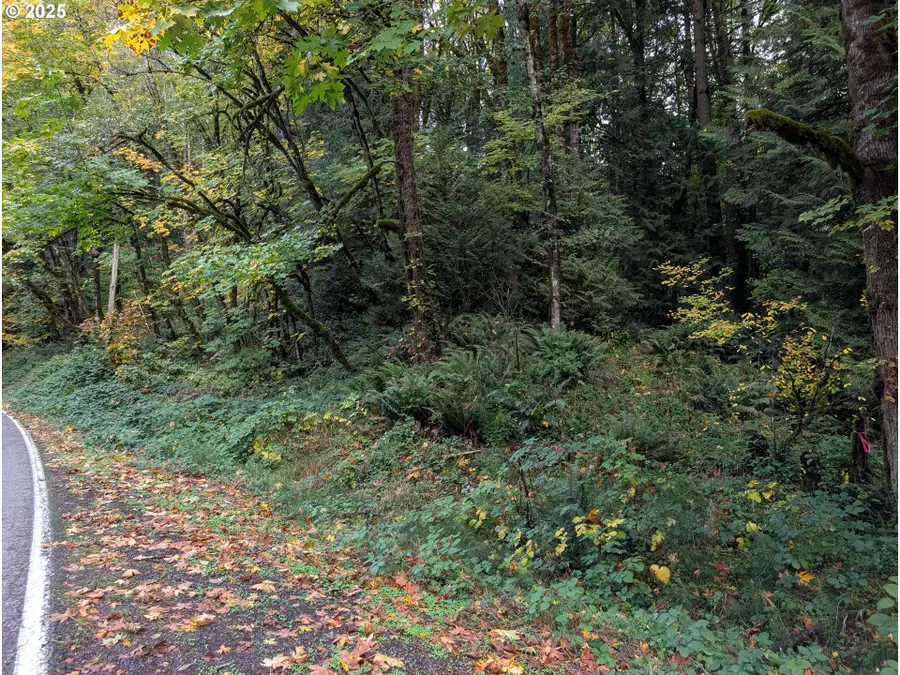 NW Thompson Rd, Portland, OR 97210 - #3