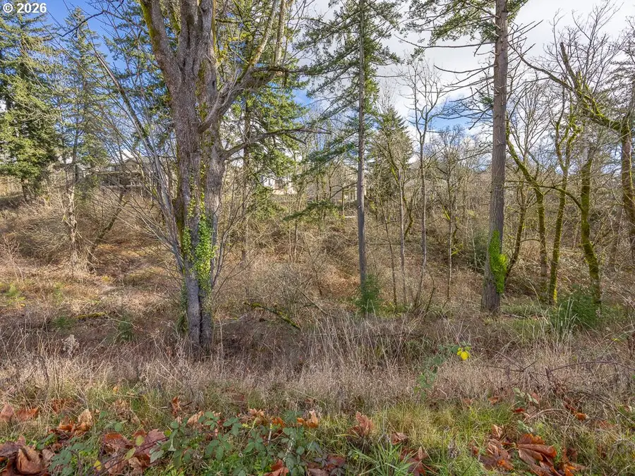 4701 SE Ascension Dr, Camas, WA 98607 - Image #3