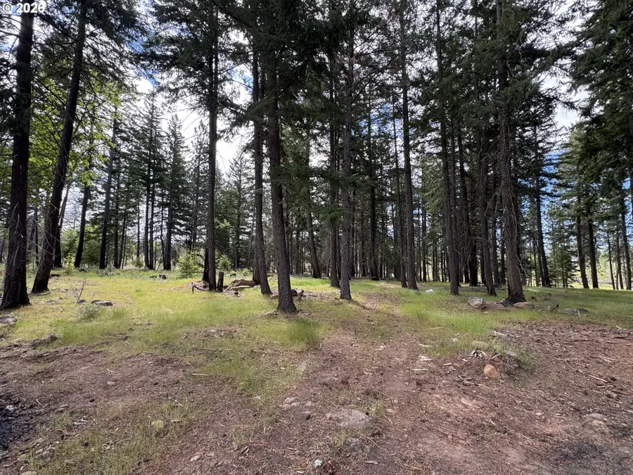 562 England Rd, Goldendale, WA 98620 - #2