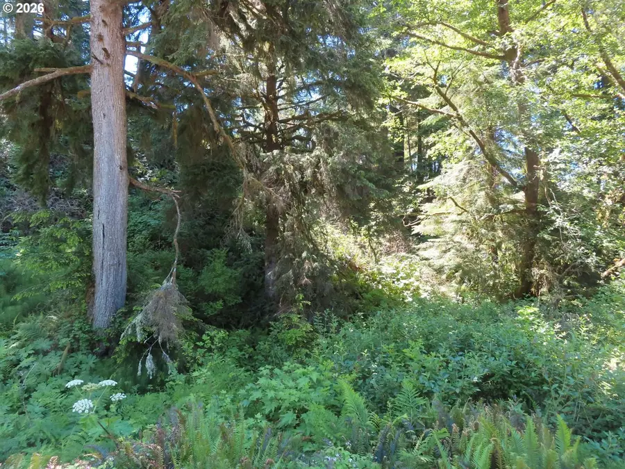State Route 101, South Bend, WA 98586 - #2