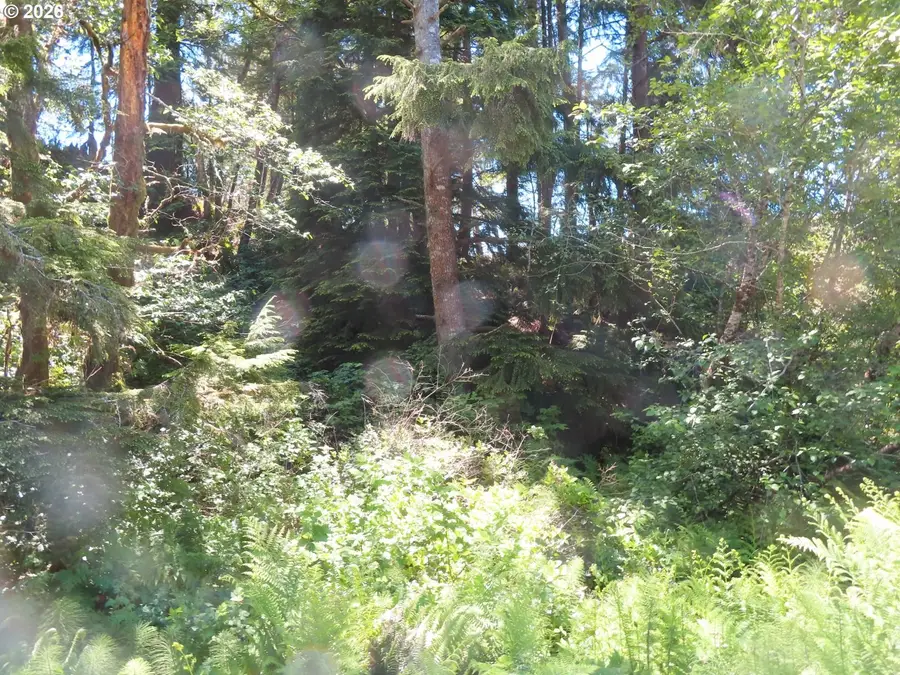 State Route 101, South Bend, WA 98586 - #3