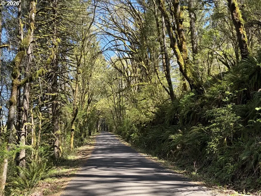 31520 NE 74th Ave, La Center, WA 98629 - #2