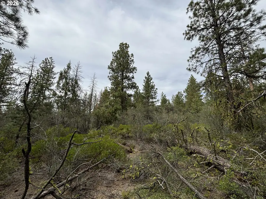 Gibbon Ln, Bonanza, OR 97623 - #2