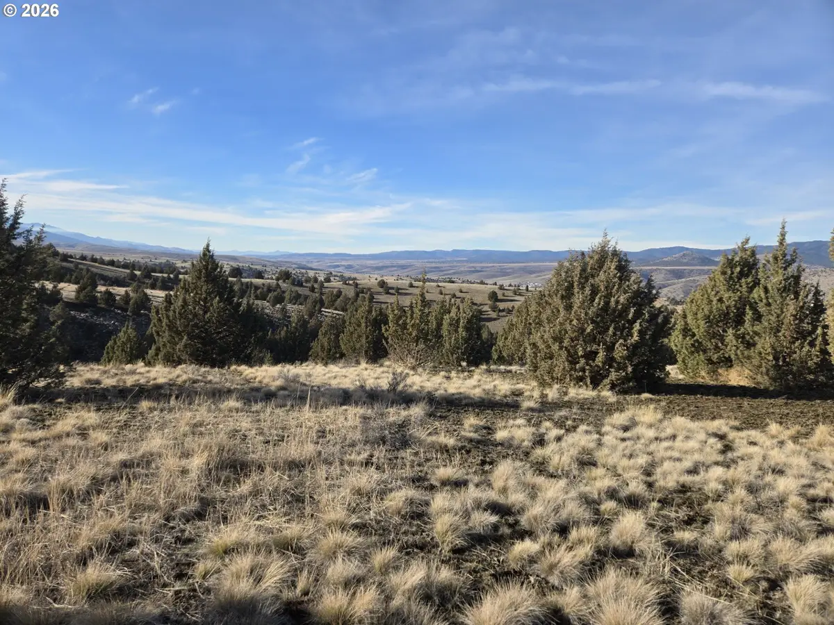 Laycock Creek Rd., Mount Vernon, OR 97865 - #1