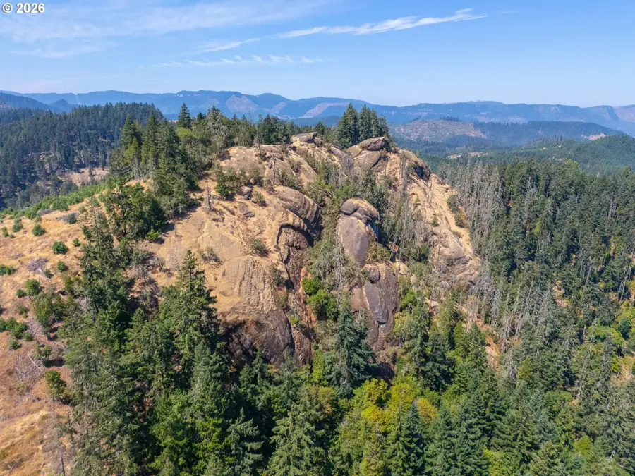 Strickland Canyon Rd #TL100, Tenmile, OR 97481 - #2