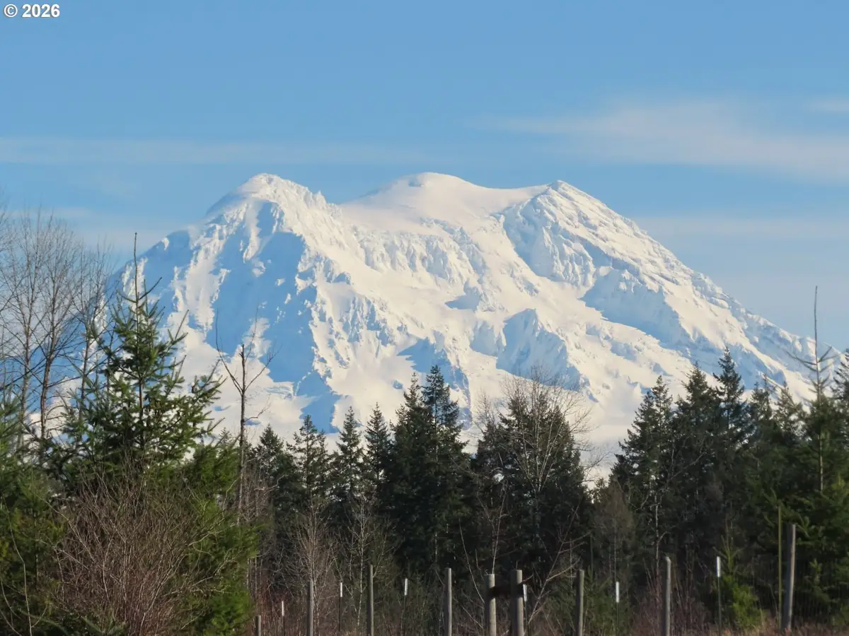 2906 357th St E, Eatonville, WA 98328 - #1