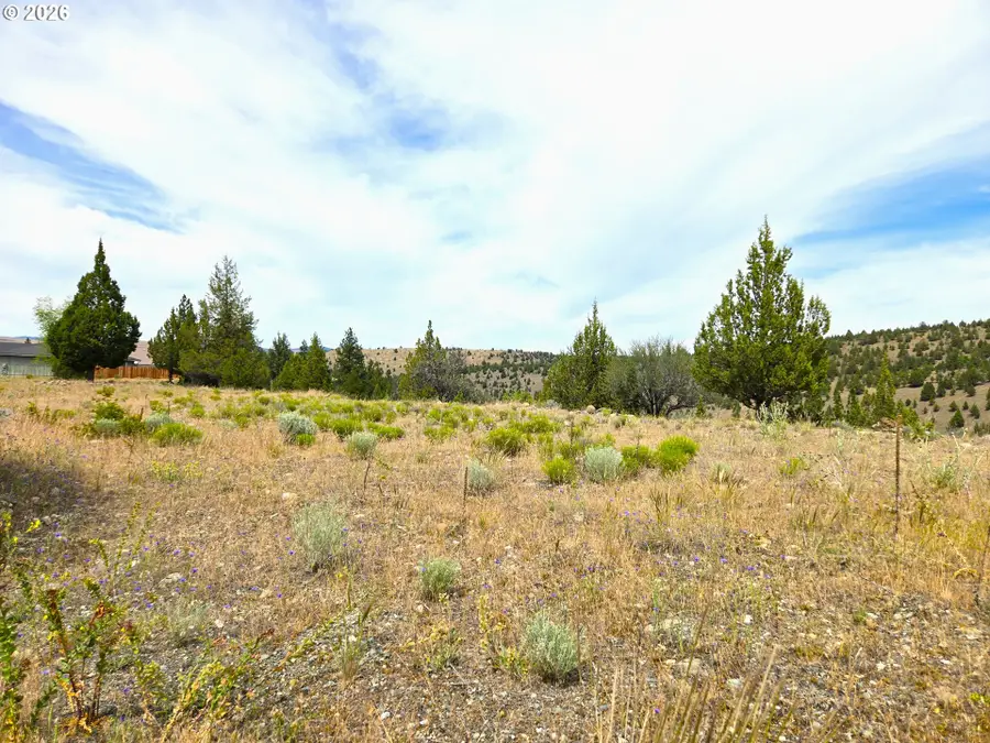 Elkview Dr, Canyon City, OR 97820 - #3