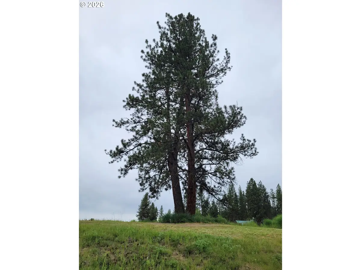 0 Coombs Loop, Starkey, OR 97850 - #1