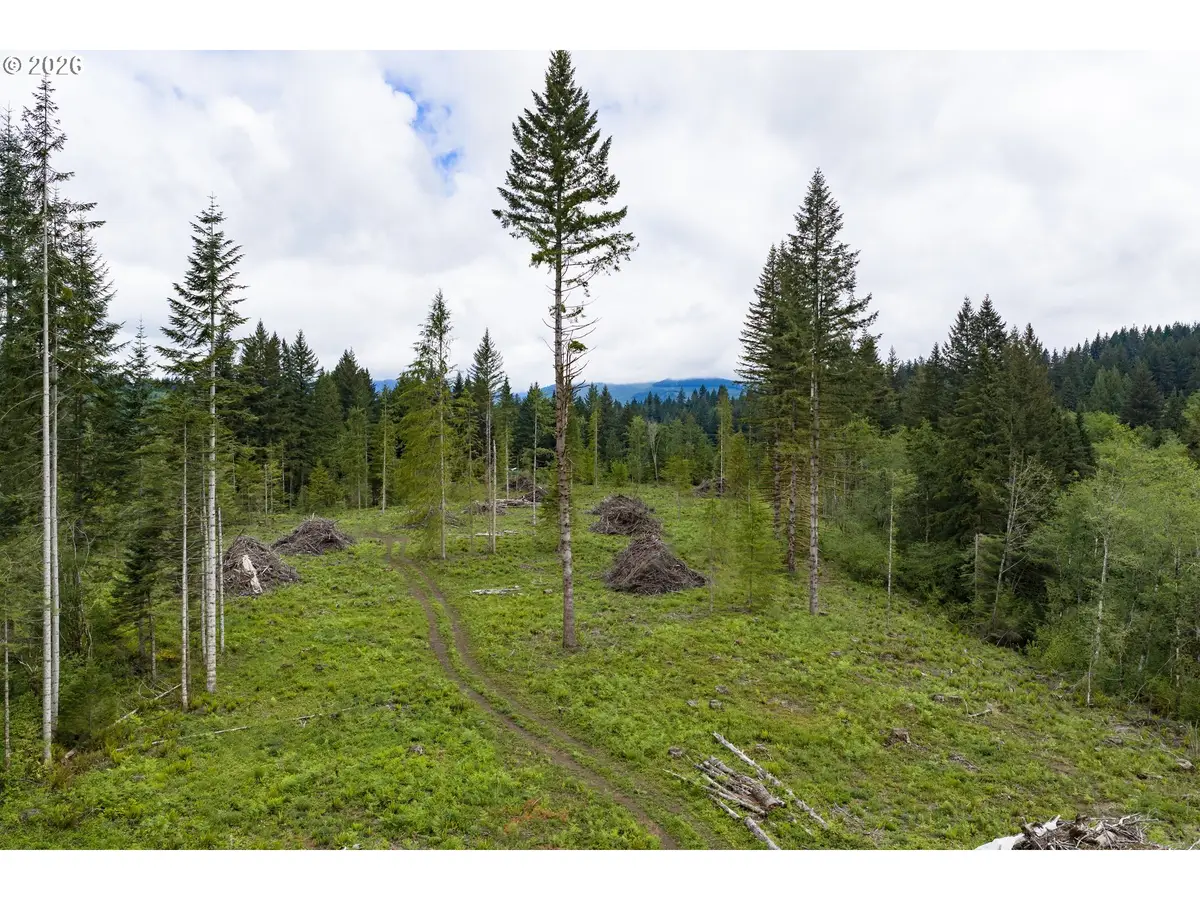 N Fork Road, Washougal, WA 98671 - #1