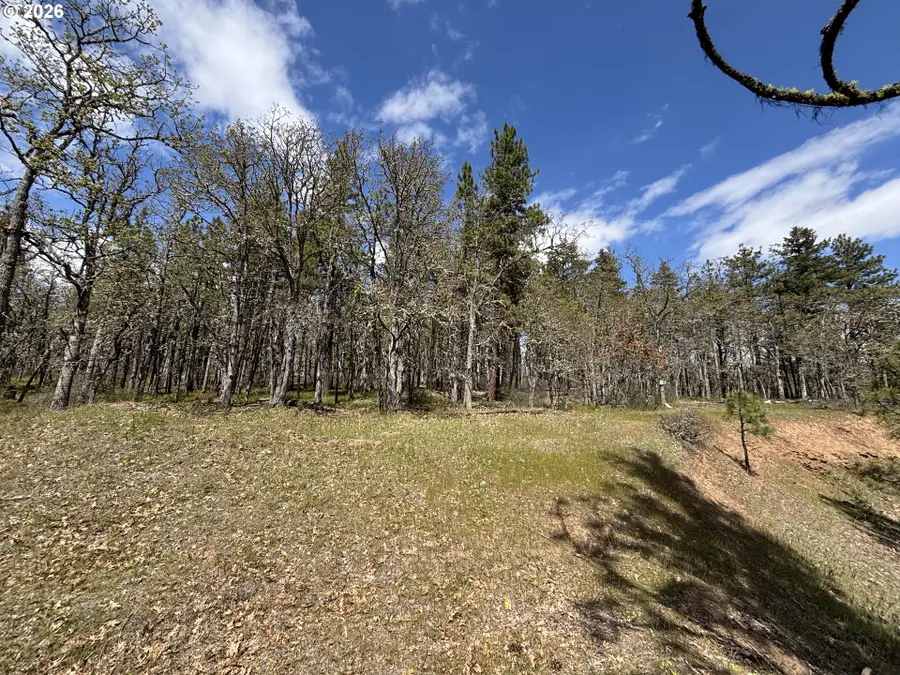 Wahkiacus Heights Rd, Wahkiacus, WA 98670 - #2