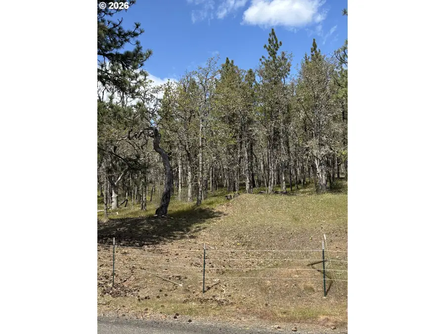 Wahkiacus Heights Rd, Wahkiacus, WA 98670 - #3