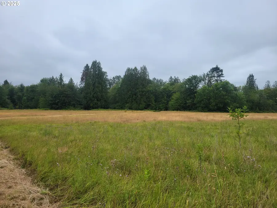 0 Evans Rd, Toledo, WA 98591 - Image #3